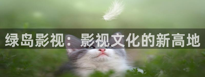 免费做人人爱视频