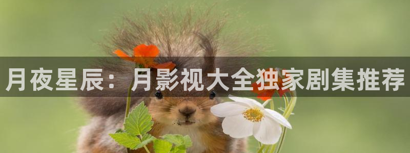 人人爽人人爱综合视频